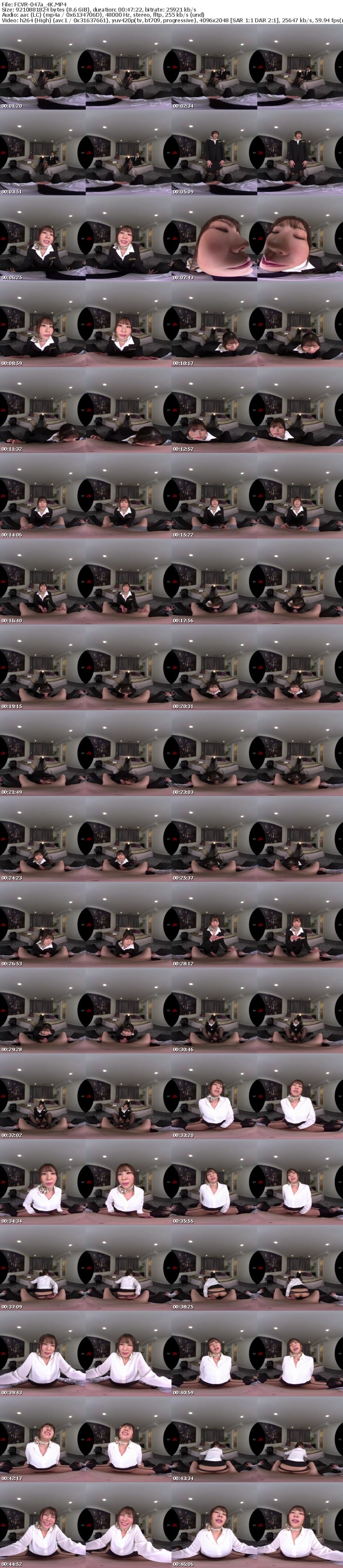 FCVR-047 【VR】【Fitch高画質8K肉感VR】藤森ひなみが遂にVR解禁！ 普段は気配り上手で礼儀正しいCAのひなみが今日に限ってめちゃくちゃ不機嫌で… 機長の俺が叱られ淫語で一晩中責められ続ける不倫中出しSEX