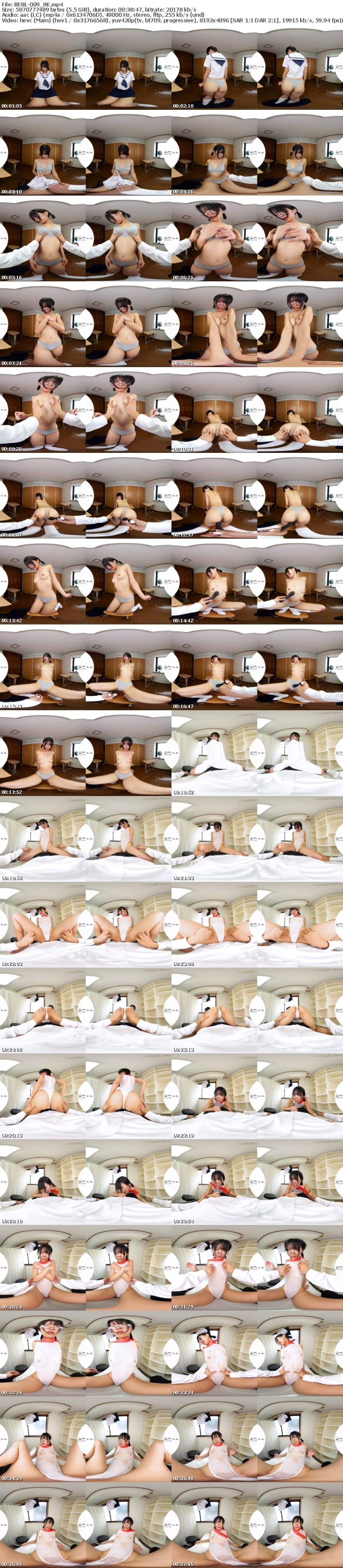 BEBL-009 【VR】服従の品位 まんげつおちゃずけくも