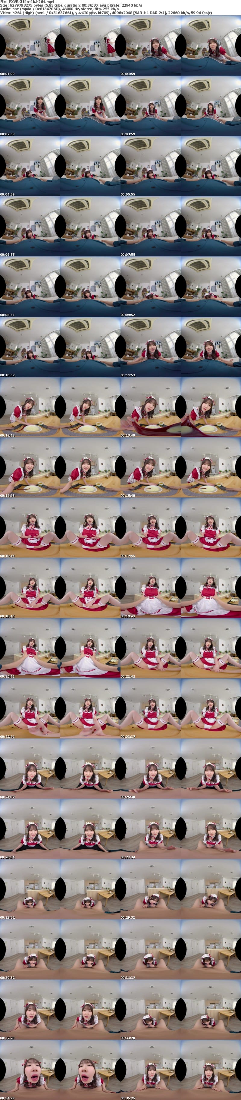 PXVR-314 【VR】家事も性処理も超一流!!朝フェラから夜の営みまで24 時間生放題のエリートメイド 依本しおり【8K】