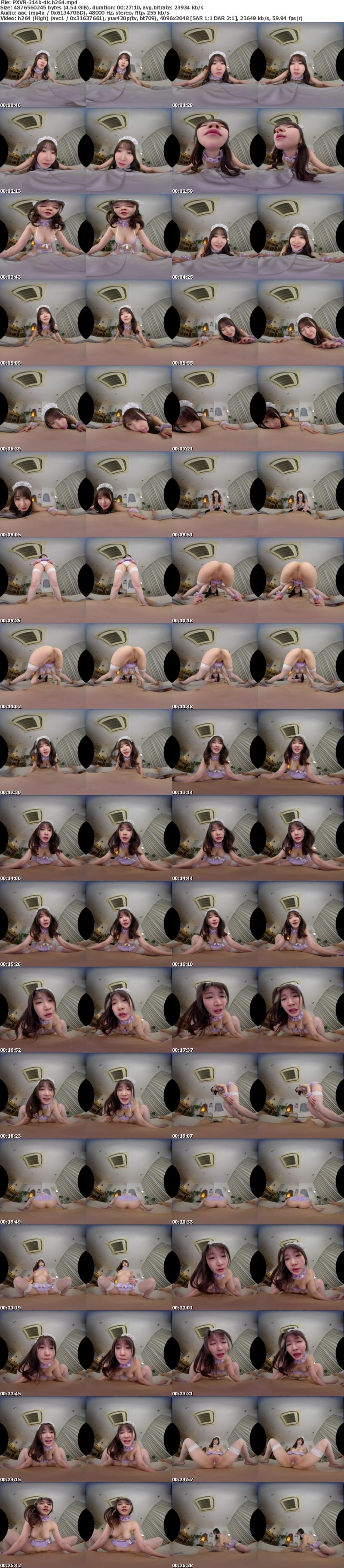 PXVR-314 【VR】家事も性処理も超一流!!朝フェラから夜の営みまで24 時間生放題のエリートメイド 依本しおり【8K】