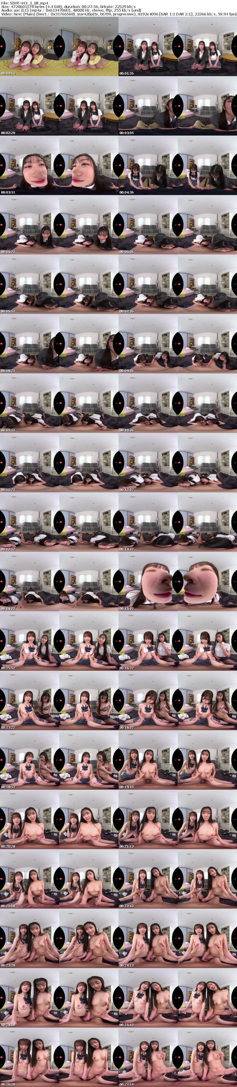 SIVR-443 【VR】高身長スレンダー美人姉妹シェアハウス 狭いワンルームで禁欲中の幼馴染2人の性処理係にされてたった一晩で一発、二発、三発…四発も!!ザーメン根こそぎ搾取された僕 明日葉みつは 白上咲花