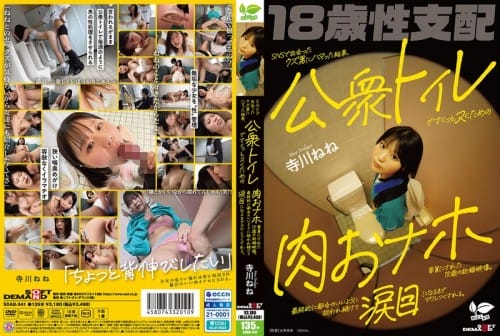 SDAB-341 SNSで出会ったクズ男にハマった結果、公衆トイレでさくっとヌくための肉おナホ要員にされた18歳の記録映像。最終的に都合のいいように扱われ続けて涙目になるまでマワしつくされる。 寺川ねね