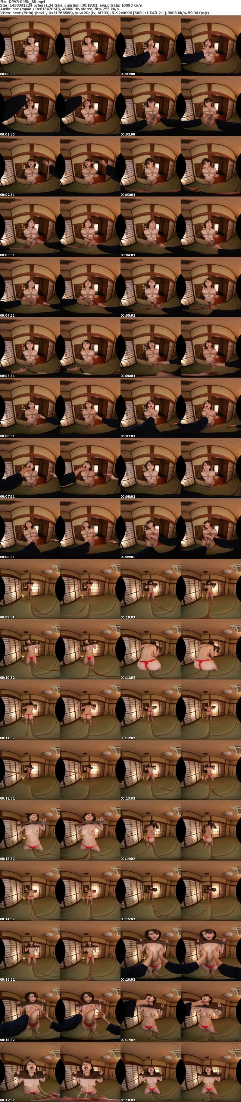 DPVR-045 【VR】VR 緊縛調教妻 音琴るい 尻穴調教