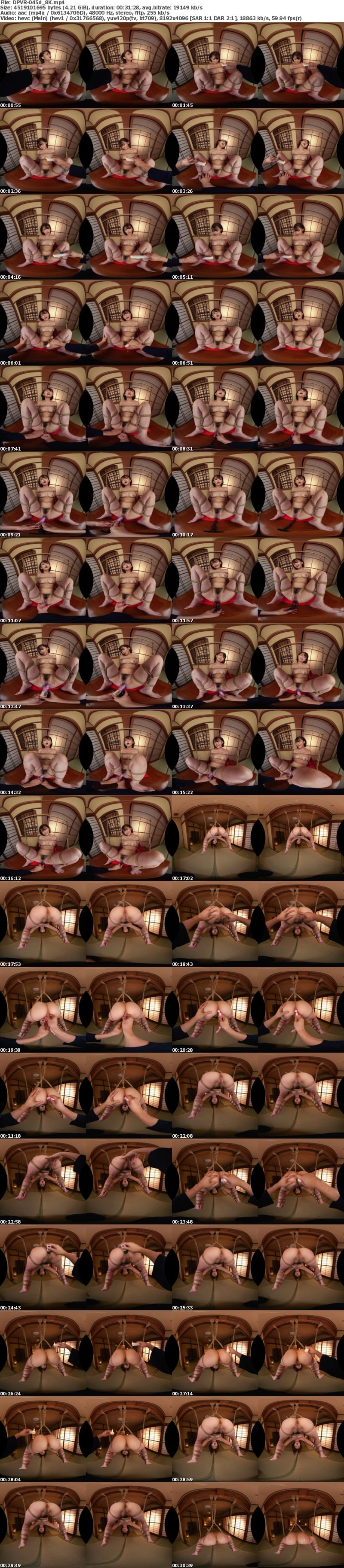 DPVR-045 【VR】VR 緊縛調教妻 音琴るい 尻穴調教