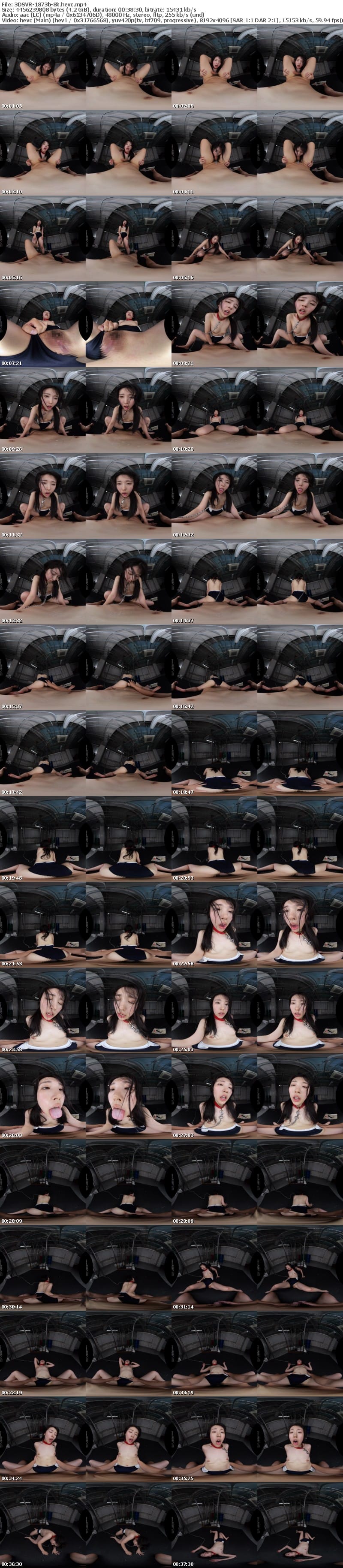 3DSVR-1873 【VR】【8K】脱法スク水ヘルス 親無し、家無し、会話不能でヤク中。本能だけで身体を売って暮らす少女。 皆月ひかる