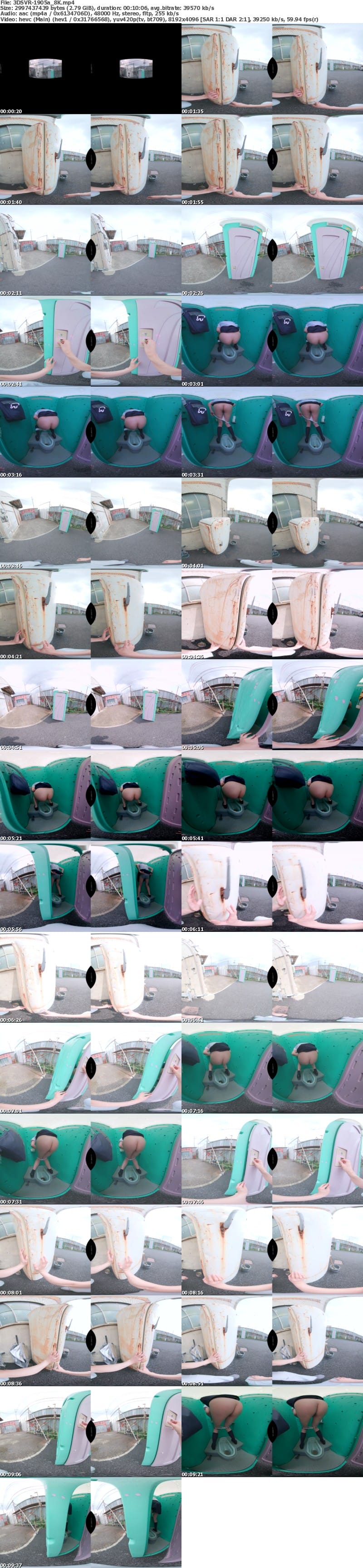 3DSVR-1905 【VR】【8K】我慢できず建設現場の仮設トイレを無断で使ったJ●に鬼イラマでお仕置きレ●プ 尿意に抗えず迷い込んだのは鍵が壊れたワケありトイレでした… 依本しおり