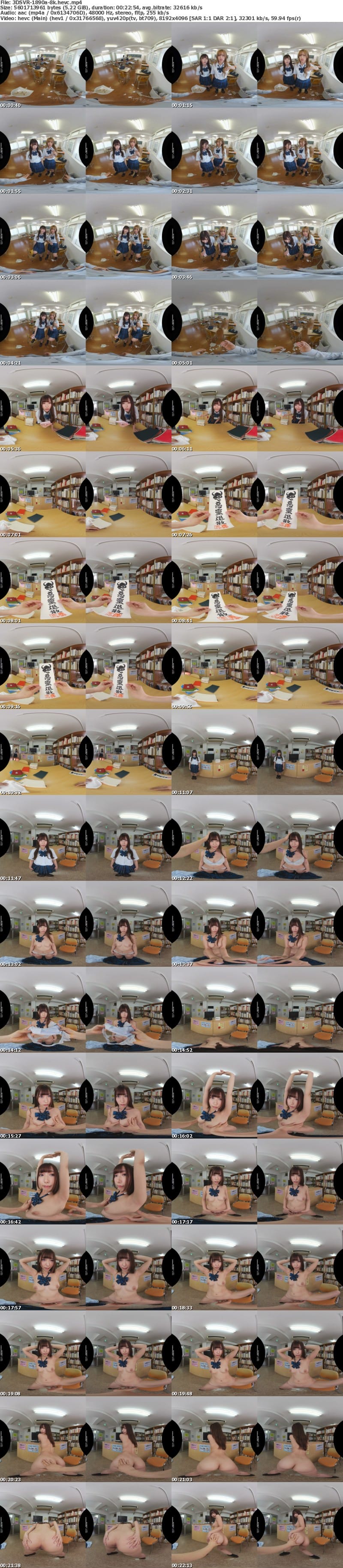 3DSVR-1890 【VR】【8K】領域結界 ～完全無敵になれる学園にようこそ…イヒッ！この女子校生たちが今日も一日元気に肉便器授業に励んでくれるのだ…